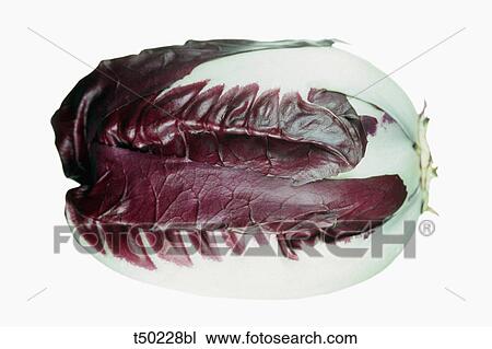 Radicchio salad View Large Photo Image Stock Image - Radicchio salad. Fotosearch