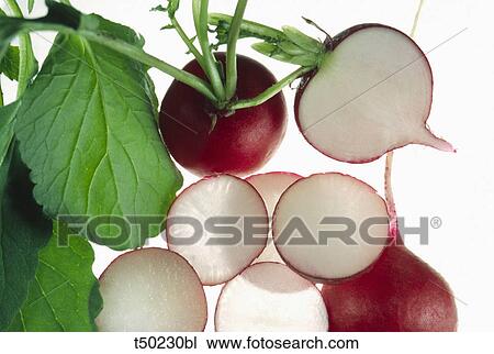 Radish View Large Photo Image Stock Image - Radish. Fotosearch