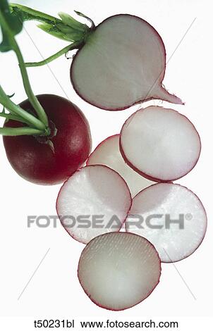 Radish View Large Photo Image Stock Image - Radish. Fotosearch