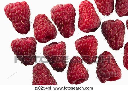 Raspberries View Large Photo Image Stock Image - Raspberries. Fotosearch