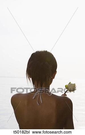 Rear view woman of a woman at sea holding a rose View Large Photo Image Stock Image - Rear view woman of a woman at sea holding a rose. Fotosearch