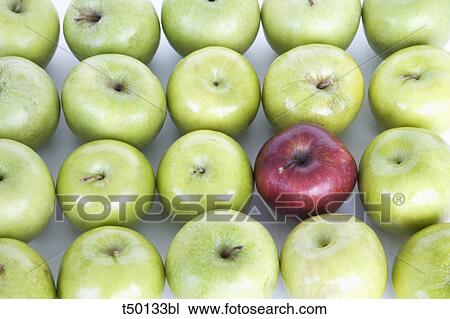 Red apple among green apples View Large Photo Image Stock Image - Red apple among green apples. Fotosearch
