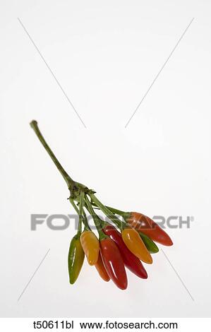 Red hot peppers View Large Photo Image Stock Image - Red hot peppers. Fotosearch