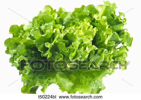 Salad View Large Photo Image Stock Image - Salad. Fotosearch