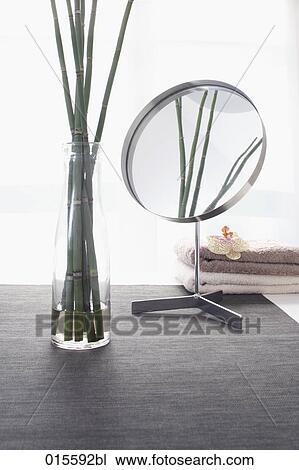 still life of bamboo in vase reflecting in mirror View Large Photo Image Stock Image - still life of bamboo in vase reflecting in mirror. Fotosearch