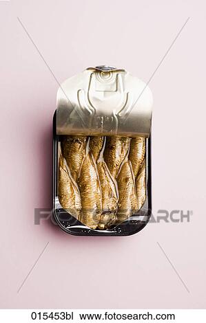 still life of of open sardine can View Large Photo Image Stock Image - still life of of open sardine can. Fotosearch