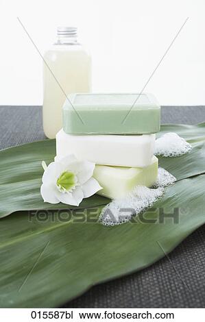 Stock Image - still life of three pieces of soap on leaves with white flower. Fotosearch