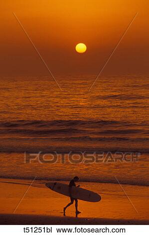 Surfer walking on beach at sunset View Large Photo Image Stock Image - Surfer walking on beach at sunset. Fotosearch