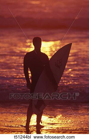 Surfer watching ocean sunset, San Diego, California, USA View Large Photo Image Stock Image - Surfer watching ocean sunset, San Diego, California, USA. Fotosearch