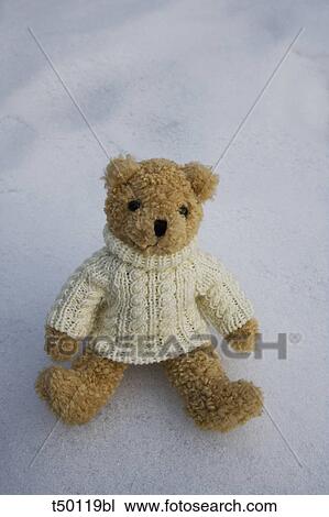 Teddy bear View Large Photo Image Stock Image - Teddy bear. Fotosearch