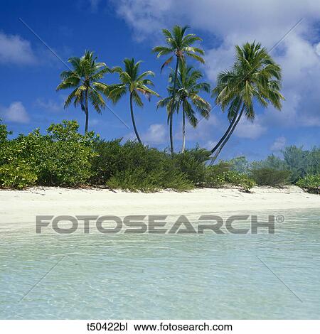 Tropical beach, Maldives View Large Photo Image Stock Image - Tropical beach, Maldives. Fotosearch