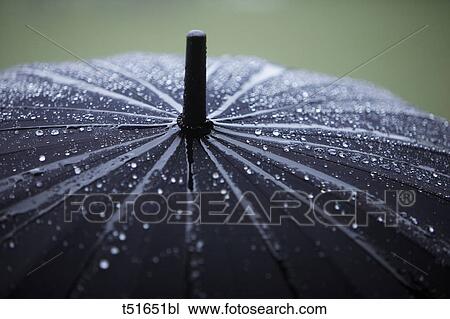 Umbrella in the rain View Large Photo Image Stock Image - Umbrella in the rain. Fotosearch