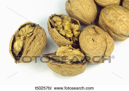 Walnuts View Large Photo Image Stock Image - Walnuts. Fotosearch