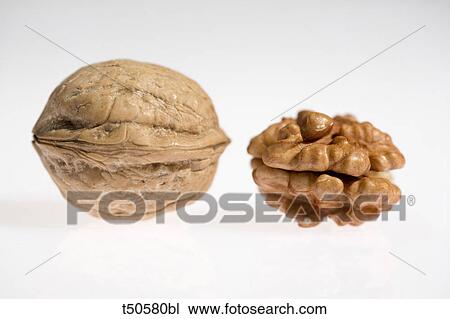 Stock Image - Walnuts. Fotosearch
