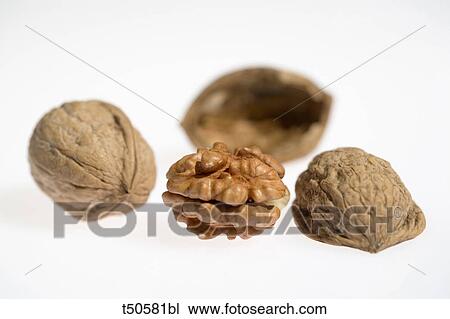 Walnuts View Large Photo Image Stock Image - Walnuts. Fotosearch