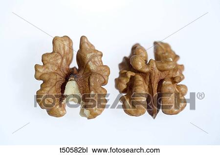 Walnuts View Large Photo Image Stock Image - Walnuts. Fotosearch