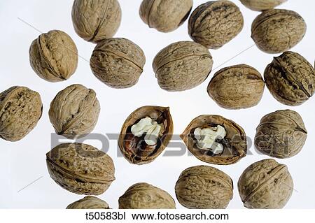 Walnuts View Large Photo Image Stock Image - Walnuts. Fotosearch