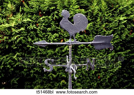 Weathervane View Large Photo Image Stock Image - Weathervane. Fotosearch