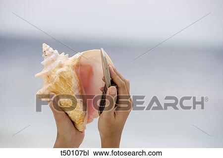 Stock Image - Woman holding conch shell. Fotosearch