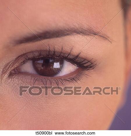 Stock Image - Woman's eye. Fotosearch