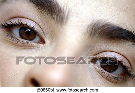 Woman's eyes View Large Photo Image Stock Image - Woman's eyes. Fotosearch