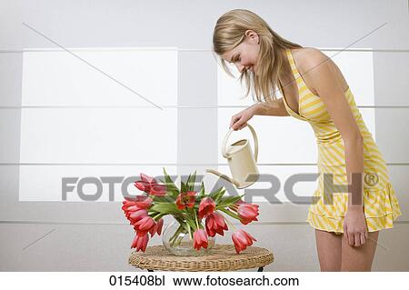 young woman in yellow summer dress watering red tulips View Large Photo Image Stock Image - young woman in yellow summer dress watering red tulips. Fotosearch