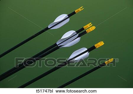 Archery arrows View Large Photo Image Stock Image - Archery arrows . Fotosearch