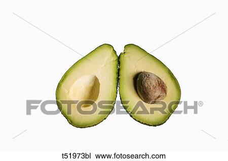Stock Image - Avocado . Fotosearch