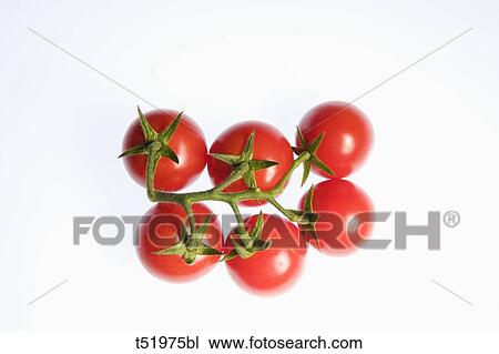 Stock Image - Cherry Tomatoes . Fotosearch