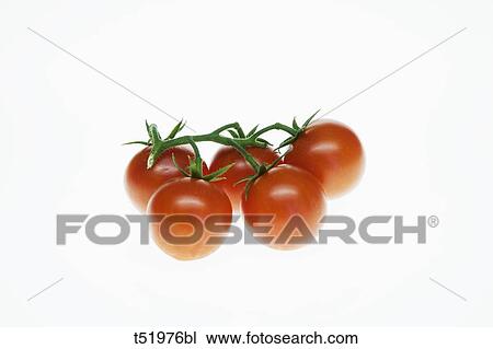 Stock Image - Cherry Tomatoes . Fotosearch