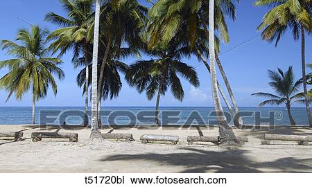 Dominican Republic, beach View Large Photo Image Stock Image - Dominican Republic, beach . Fotosearch