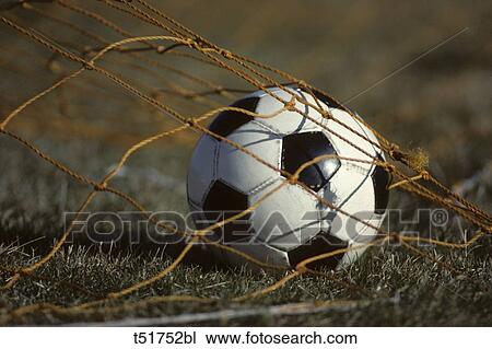 Goal View Large Photo Image Stock Image - Goal . Fotosearch