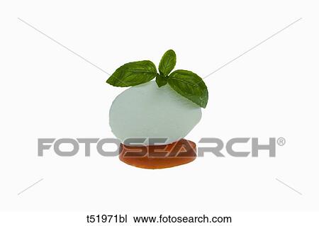 Mozzarella Cheese with Tomato slice and basil View Large Photo Image Stock Image - Mozzarella Cheese with Tomato slice and basil . Fotosearch