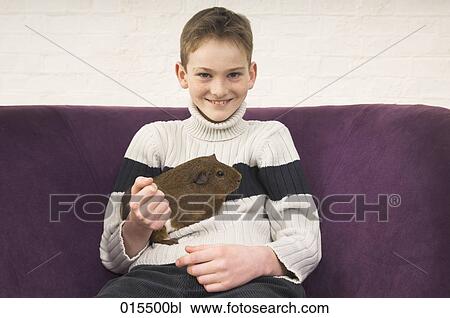 portrait of young boy with guinea pig View Large Photo Image Stock Image - portrait of young boy with guinea pig. Fotosearch