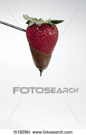 Strawberry being dipped in chocolate View Large Photo Image Stock Image - Strawberry being dipped in chocolate . Fotosearch