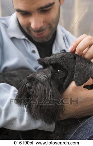 young man cuddling black schnauzer dog View Large Photo Image Stock Image - young man cuddling black schnauzer dog. Fotosearch
