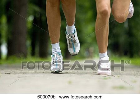 close-up of legs of two young woman jogging through park View Large Photo Image Stock Image - close-up of legs of two young woman jogging through park. Fotosearch