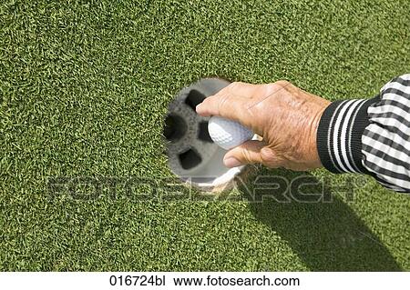 close-up of mature adult taking golf ball from hole View Large Photo Image Stock Image - close-up of mature adult taking golf ball from hole. Fotosearch