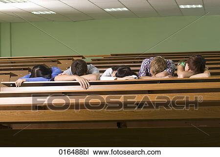 five young students dozing in lecture hall View Large Photo Image Stock Image - five young students dozing in lecture hall. Fotosearch