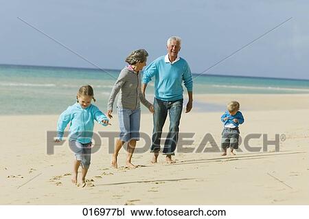 mature couple with their grandchildren having a walk along the beach View Large Photo Image Stock Image - mature couple with their grandchildren having a walk along the beach. Fotosearch