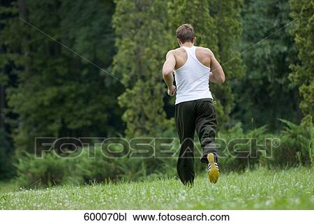 rear view of young man jogging through park View Large Photo Image Stock Image - rear view of young man jogging through park. Fotosearch