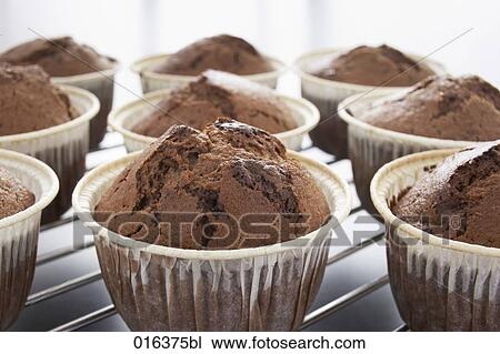 still life of chocolate muffin View Large Photo Image Stock Image - still life of chocolate muffin. Fotosearch