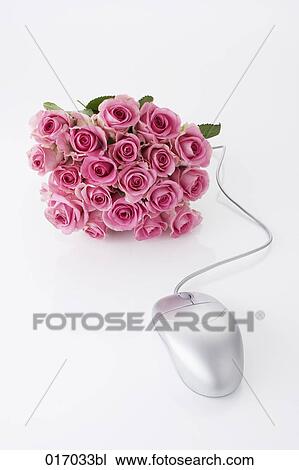 still life of computer mouse and bouquet of pink roses View Large Photo Image Stock Image - still life of computer mouse and bouquet of pink roses. Fotosearch