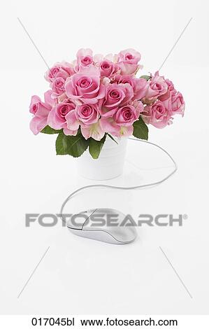 still life of computer mouse and bouquet of pink roses View Large Photo Image Stock Image - still life of computer mouse and bouquet of pink roses. Fotosearch