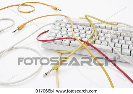still life of different cables and computer keyboard View Large Photo Image Stock Image - still life of different cables and computer keyboard. Fotosearch