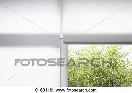 Stock Image - still life of roller blinds in front of window. Fotosearch