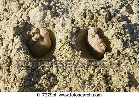 Stock Image - close-up of feet of child buried in sand. Fotosearch