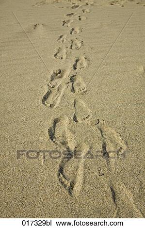 footprints in sand View Large Photo Image Stock Image - footprints in sand. Fotosearch