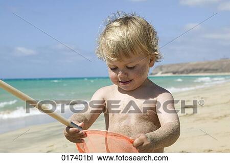 little boy looking at content of spoon net on beach View Large Photo Image Stock Image - little boy looking at content of spoon net on beach. Fotosearch