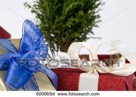 still life of christmas presents and small tree View Large Photo Image Stock Image - still life of christmas presents and small tree. Fotosearch